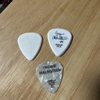 yngwie malmsteen guitar picks. — photo 2