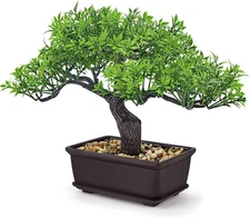 Der Rose 8'' Artificial Bonsai Tree Small Fake Potted Plants for Green-ficus 