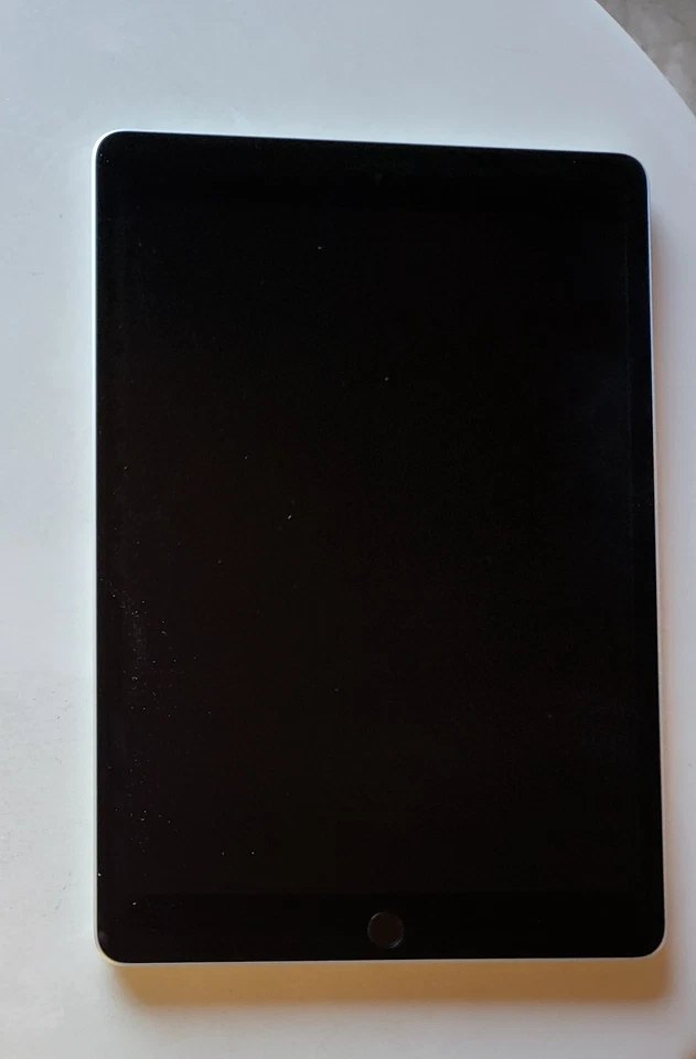 Apple iPad 9a Generazione Wifi 10.2" 64GB Argento con una cover - Immagine 4 di 4