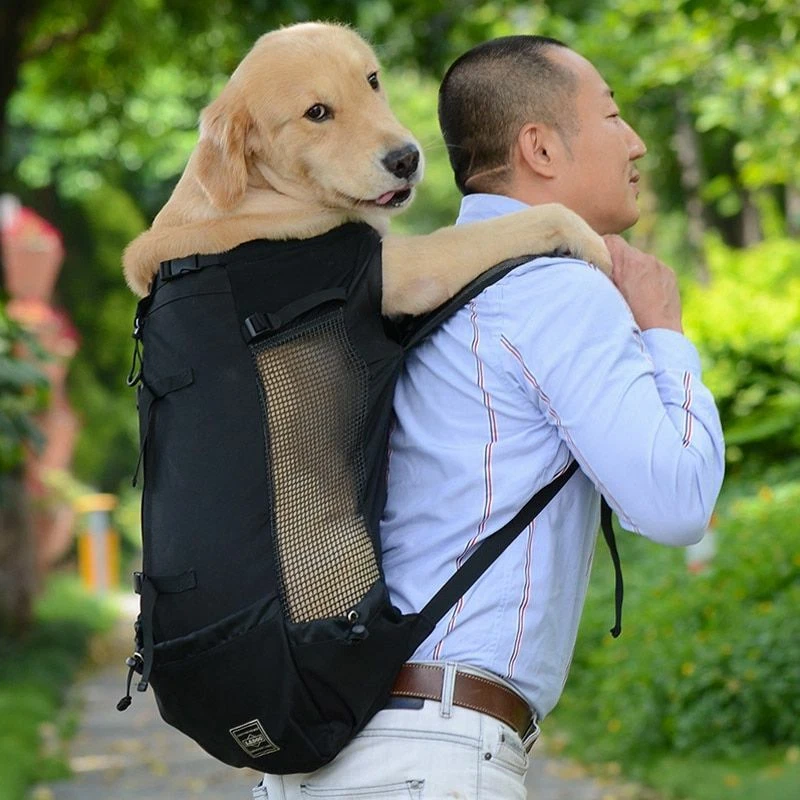 Buy Wholesale China Dog Carrier Backpack - Legs Out Front-facing