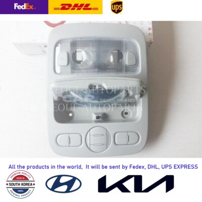  Express  KIA 06-14 Sedona Lampe Overhead Konsole Original Grau 92810-4D000QW