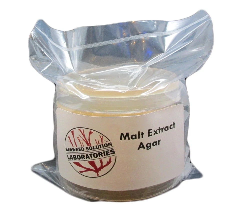 SEAWEED SOLUTION LABORATORIES Sterile Malt Extract Agar (MEA) 5, 100mm x 15mm Plates- Great For Mushrooms!!!