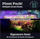 Premium Assorted Beginner Live Aquarium Plants Pack Floaters Red Green