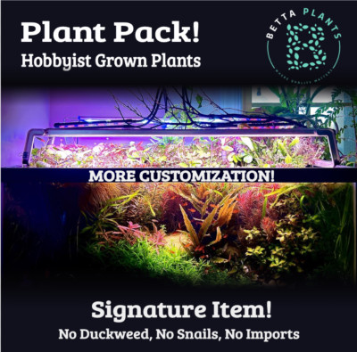 Live Aquatic Aquarium Plant Pack Bundle 5+Species 1-5 Stems Each Float Red Green