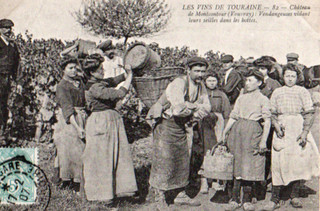 37 CPA 1907 VOUVRAY CHATEAU DE MONTCONTOUR VENDANGEISES VIDANT LEURS SEILLES...