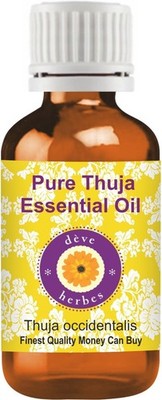 Thuja Essential Oil ( Thuja occidentalis ) 100% Pure NaturalAromatherapy Oil