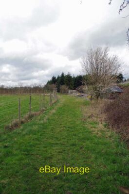 Foto 6x4 Fußweg 132-23 in der Nähe der Scheune Gartencenter Sieben Sterne grün Th c2019