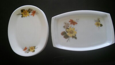 JAJ Autumn Glory Steakteller x 6 + 37,5 cm Platte. 12'' L x 9'' B. We've more JAJ