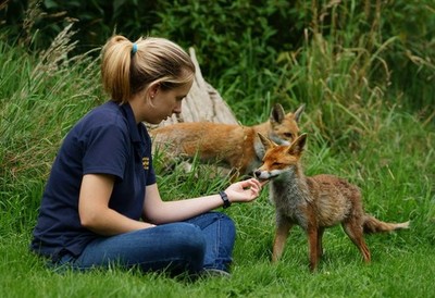 Foto A2 The Reward Newchapel\/TQ3642 im British Wildlife Centre, Ne c2012