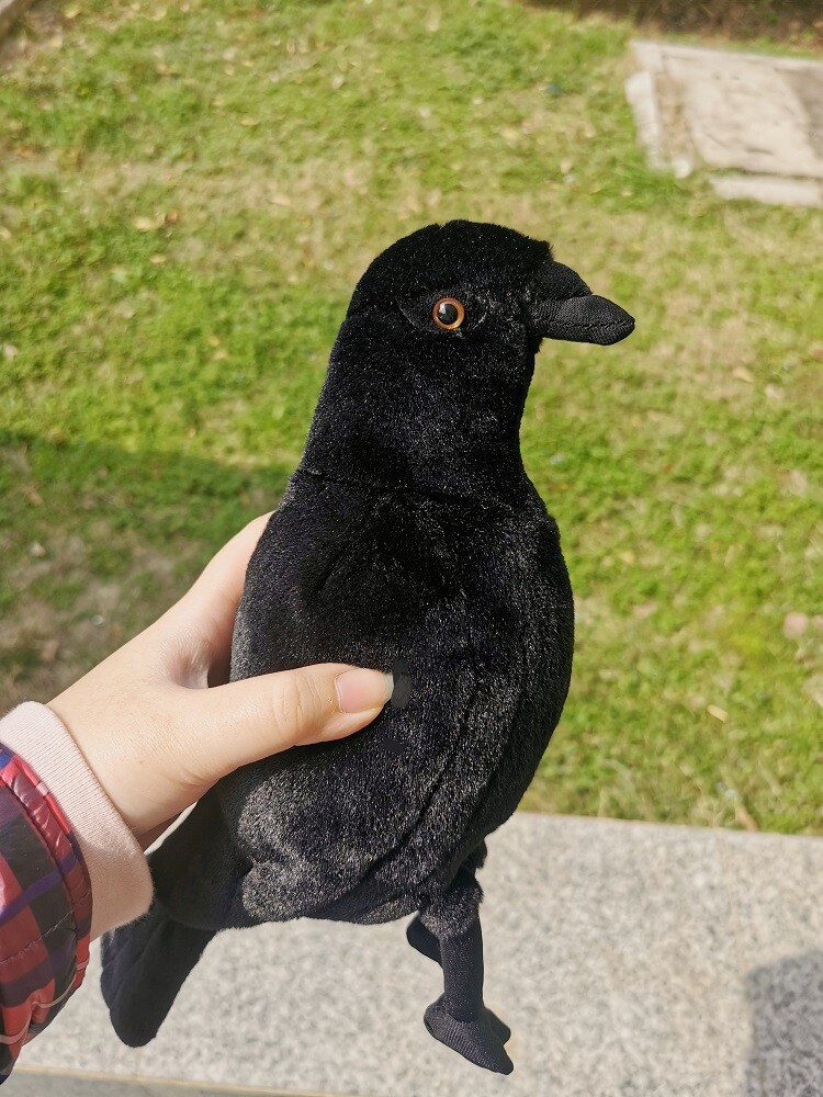 Raven Corvus Corax Crow Black Bird Cute Animal Soft Stuffed Plush