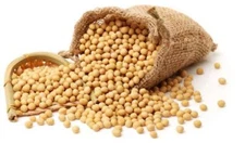 Us Grown Soybean for Tofu Soy Milk  Vegetarian Protein 15oz/2LBs