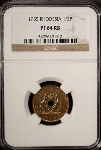 Rhodesia & Nyasaland 1/2 Penny 1955  NGC PF 64 RB UNC Bronze Elizabeth II