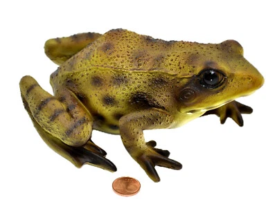 Muwse Frosch Gartendeko Skulptur Figur Teich Gartenfigur Dekofigur wetterfest - Bild 1 von 4