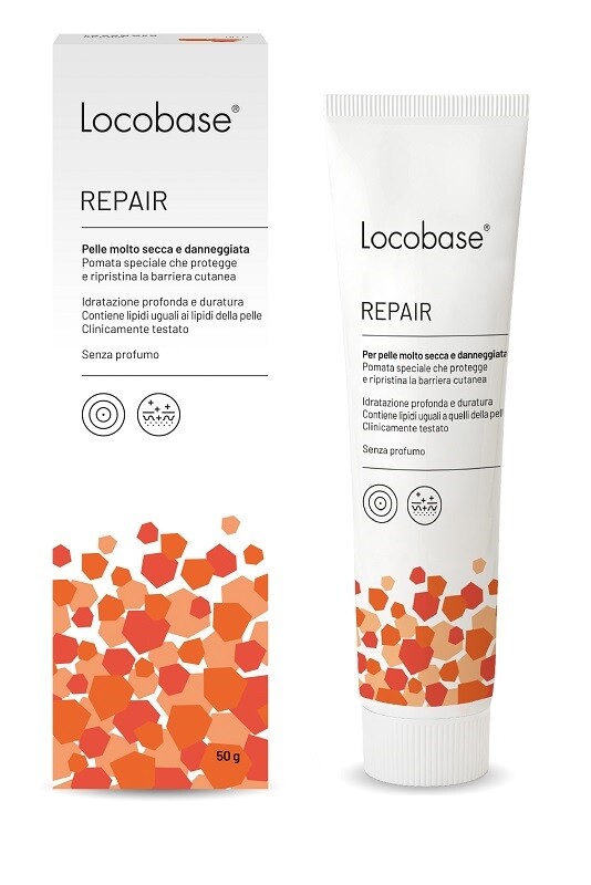 Lokobase Reparatur