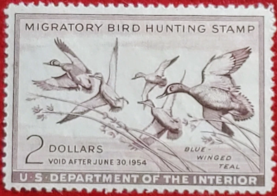 US 1953 FEDERAL DUCK STAMP #RW20 MIGRATORY BIRD HUNTING STAMP MLH OG F/VF - Image 4 of 4