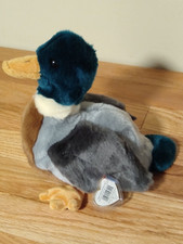 Ty Beanie Buddies "Jake" The Mallard Duck Plush Stuffed Toy  1998  DSLRT01K 