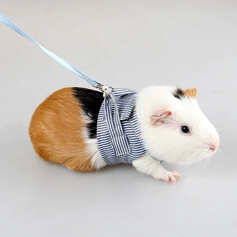 Hamster Lead Leash Chinchilla Dutch Pig Out Pulling Rope Strap Cotton Clothes - Image 3 of 4
