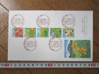 Japan Stamp First Day Cover Special Prefecture Kanto Large format 2005