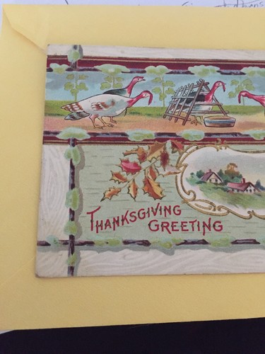 1910s Thanksgiving Postcard Winsch Back Turkeys in Field Embossed - Picture 2 of 7
