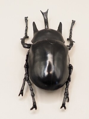 Megasoma actaeon Insect Hunter Figure F-toys Japan T438 | eBay