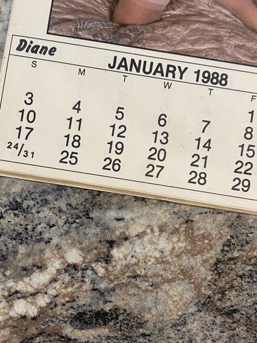 The Brass Flamingo 1988 Calendar - Picture 3 of 16