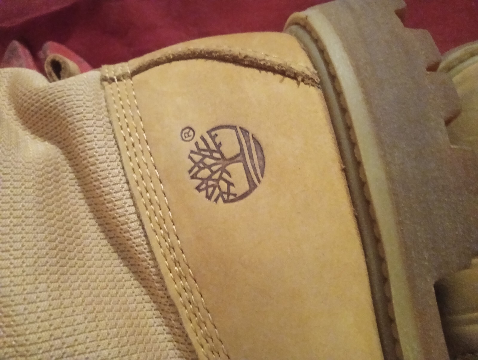 Picture 4 of 8