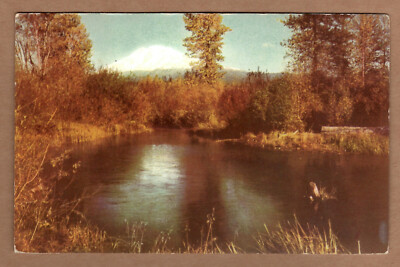 Mount Adams Southern Washington Cascade Cone Columbia River UNP Chrome Postcard