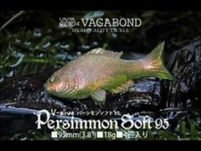 Lot 10 packs leurre souple