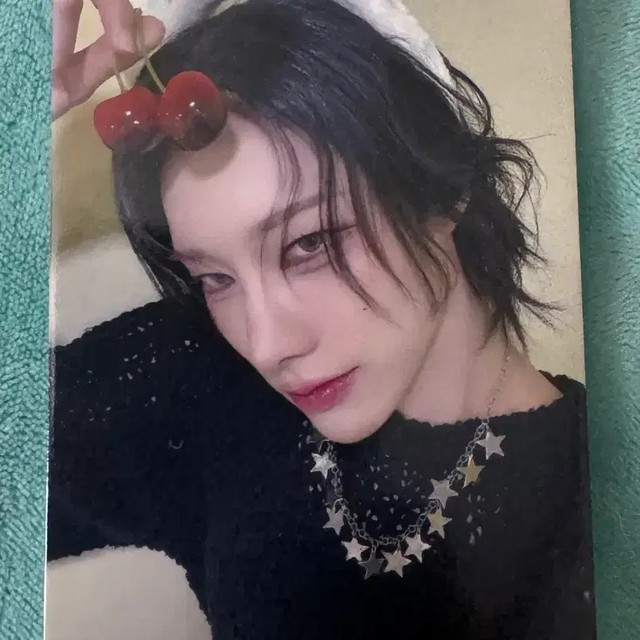 XLOV Louie Cherry Bear Photocard, 3 pcs, New Unopened