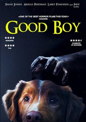 Good Boy DVD 2024 Psychological Horror Thriller Movie Region Free Disc