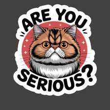 Cat Sticker Vinyl Decal Funny Are You Serious Grumpy Kitty Face Meme