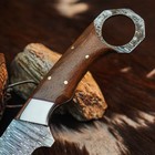 9.7" inch Damascus Tactical Knife Full Tang wood Handle Blade Leather Sheath — photo 3