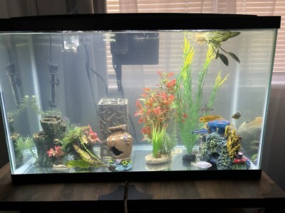 29 inch fish boxes 29.21 x 11.69 x 0.16in Aquarium Lid Clear Tempered Glass Canopy It is suitable for both fresh and salt water and can be used as a quick DIY solution for display 29 inch fish boxes 29