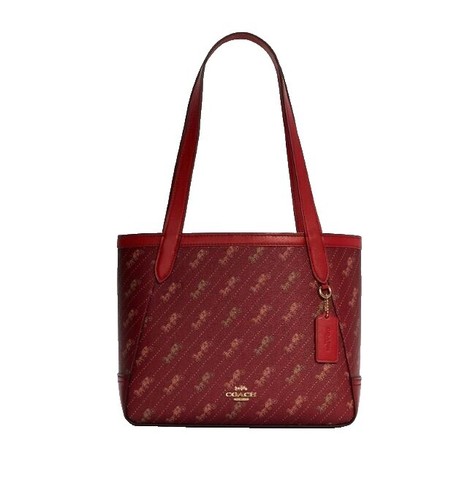 COACH Signature Demi Clip Accessory Bag | eBay