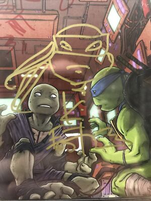 Teenage Mutant Ninja Turtles 95 cgc 9.8 2x signed and sketched