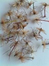 Fishing Flies DADDY LONGLEGS MEGAPACK Trout FlyUK 24 flies Mixed Daddies # 7