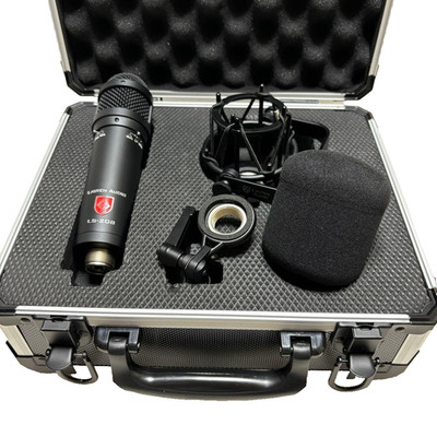 Lauten Audio Ls-208 Condenser Microphone Free Shipping From Japan