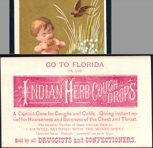 "Go To Florida" 1800's Indian Herb Patent Medicine Shedd Cough Drops Trade Card