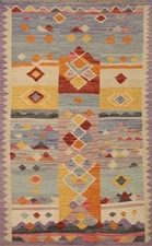 Foyer Reversible Rug 3x5 Vegetable Dye Tribal Wool Kilim Handwoven Carpet 