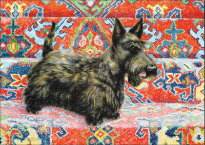 Scottish Terrier Note Card  - Beautiful Scottie Scotty Card ~ Artist Olga Knight
