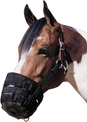 Weaver Leather 65-2345 Horse Grazing Muzzle w/ Crown Medium Average Black