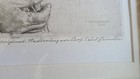 Bild 3 von 12
