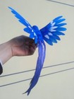 Foto 3 di 4
