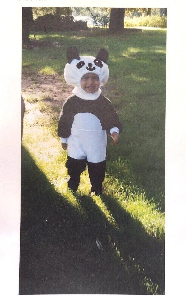 Bebé/Niño Pequeño Halloween Oso Panda Disfraz Animal Infantil 6-12M 12-18M Foto 2 de 4
