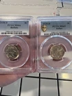 1938-D PCGS MS- 64-65 Buffalo Nickels