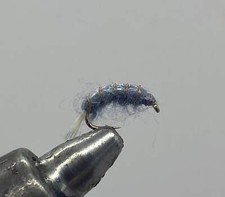 One Dozen (12) - Scud - Grey - Nymph