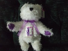 8" American Cancer Society, Relay for life Jointed bear 2002