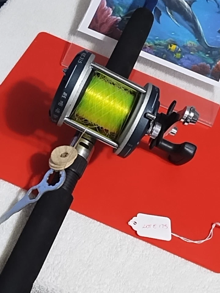 Caña de pescar de arrastre resistente Stik 6' mediana 15-30 lb y carrete garra de águila Foto 2 de 4