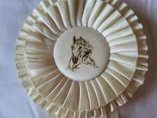 Andalusian Lusitano Annual Horse Show Ribbons Awards Equestrian Events