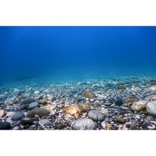 Underwater Aquarium Background Ocean Seabed Underwater Rocks and Pebbles Fish...